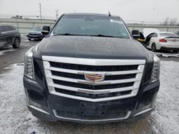 
										2016 Cadillac Escalade full									