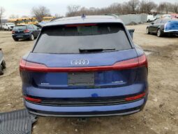 
										2022 Audi E-tron full									
