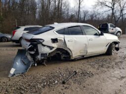 
										2022 BMW X6 full									