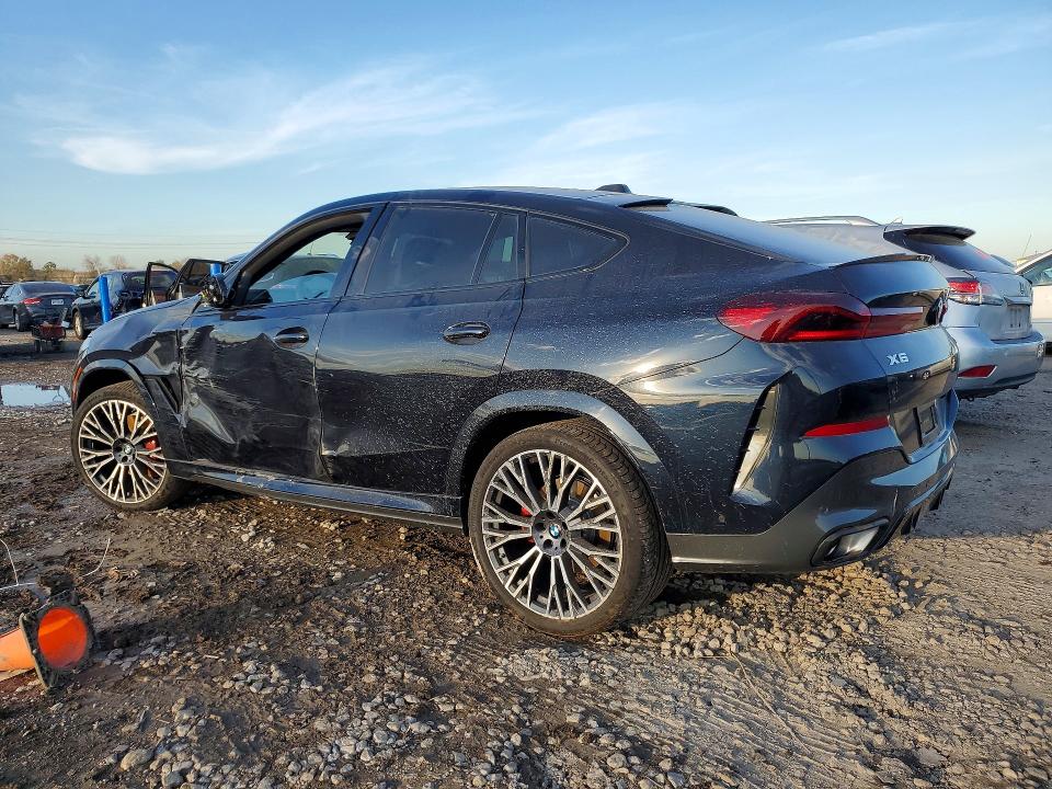 2026 BMW X6