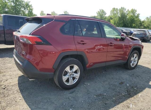 
								2019 Toyota Rav4 full									