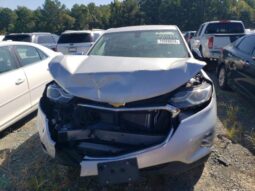 
										2019 Chevrolet Equinox full									