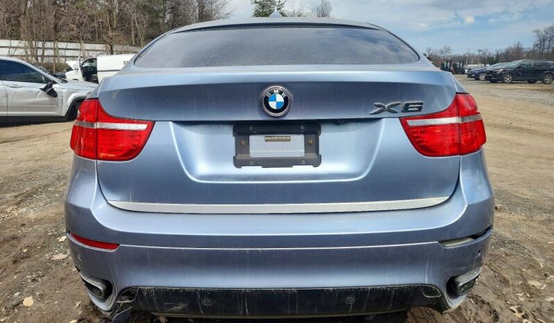
								2010 BMW X6 full									