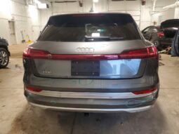
										2019 Audi E-tron full									