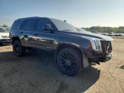 
										2019 Cadillac Escalade full									
