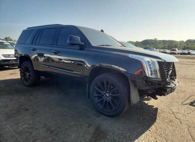 
								2019 Cadillac Escalade full									