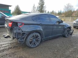 
										2010 BMW X6 full									