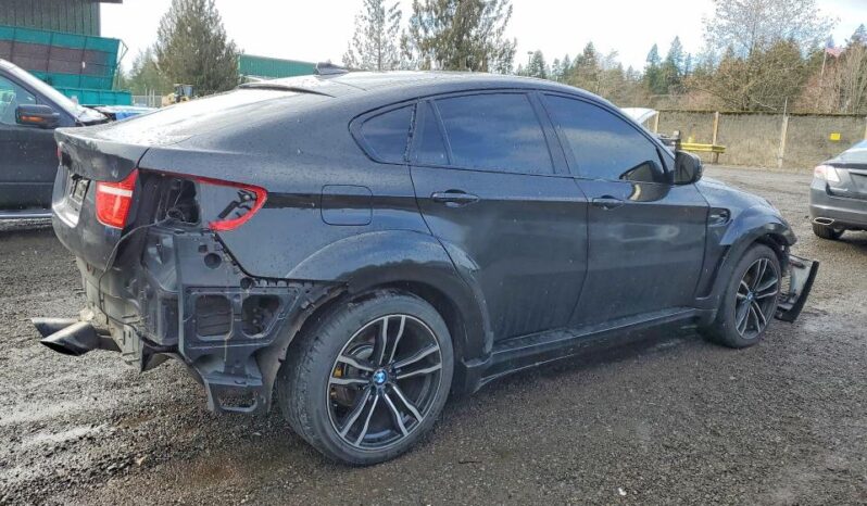
								2010 BMW X6 full									