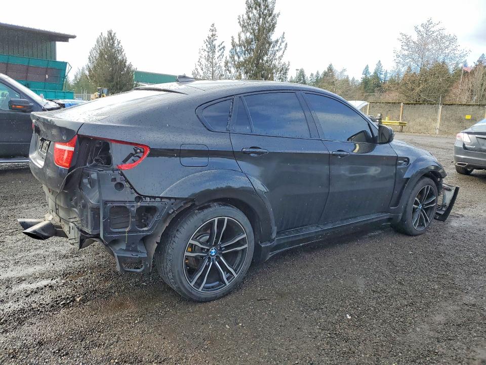 2010 BMW X6