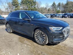 
										2019 Audi E-tron full									