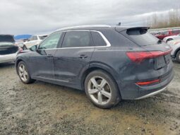 
										2019 Audi E-tron full									