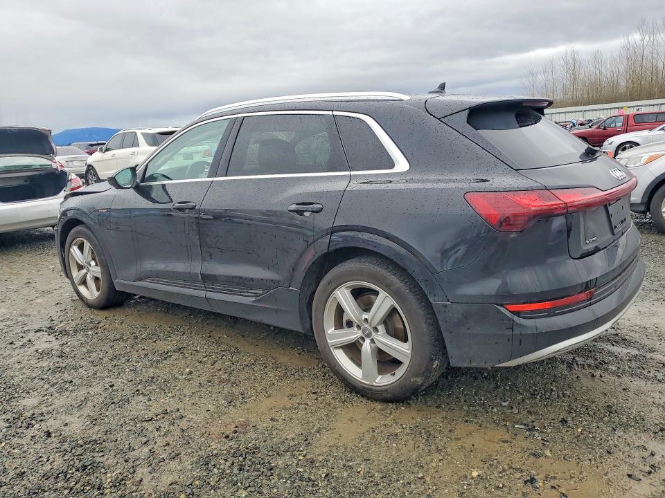 2019 Audi E-tron