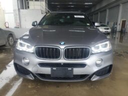 
										2019 BMW X6 full									