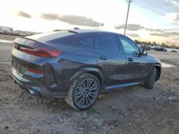
										2026 BMW X6 full									