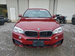 
										2019 BMW X6 full									