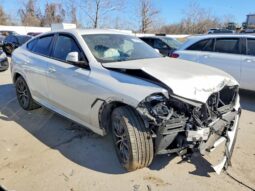 
										2022 BMW X6 full									