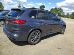 
										2019 BMW X5 full									