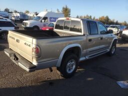 
										2002 Dodge Dakota full									