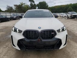 
										2024 BMW X6 full									