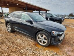 
										2019 Audi E-tron full									