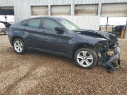 
										2010 BMW X6 full									