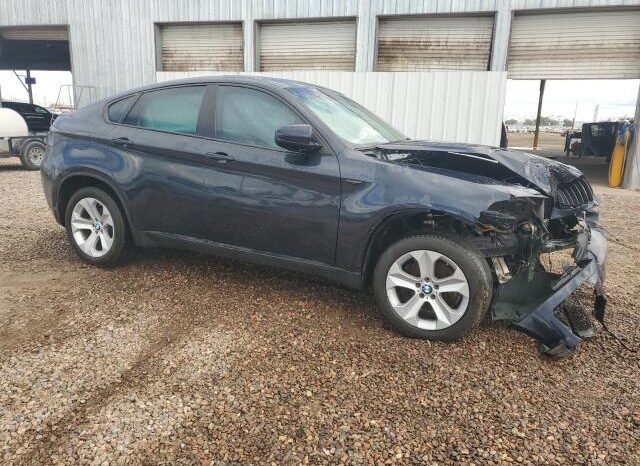 
								2010 BMW X6 full									
