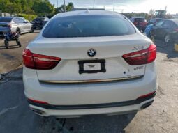 
										2019 BMW X6 full									