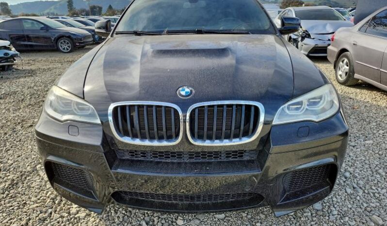 
								2014 BMW X6 full									