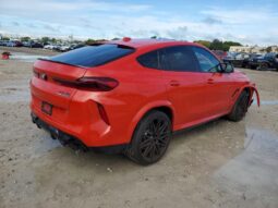 
										2025 BMW X6 full									