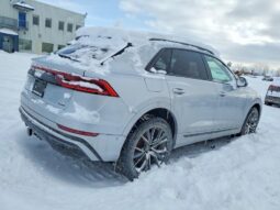 
										2019 Audi Q8 full									