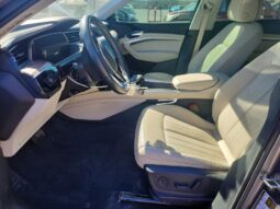 
										2019 Audi E-tron full									