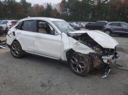 
										2024 BMW X3 full									
