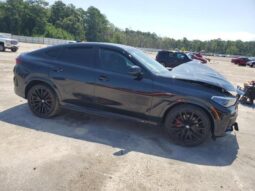 
										2023 BMW X6 full									