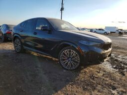 
										2026 BMW X6 full									