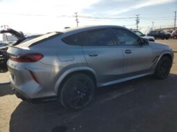 
										2024 BMW X6 full									