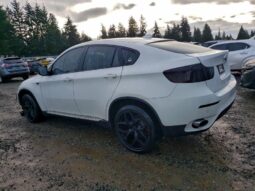 
										2014 BMW X6 full									