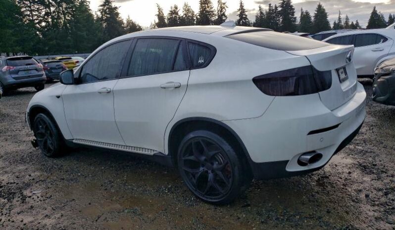 
								2014 BMW X6 full									