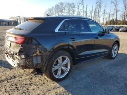
										2019 Audi Q8 full									