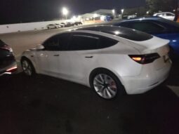 
										2019 Tesla Model 3 full									