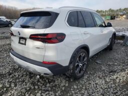 
										2024 BMW X5 full									
