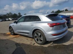 
										2022 Audi E-tron full									