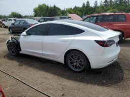 
										2019 Tesla Model 3 full									