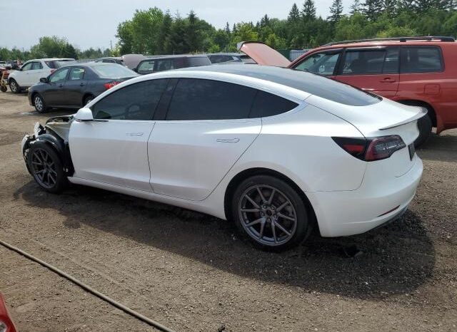 
								2019 Tesla Model 3 full									