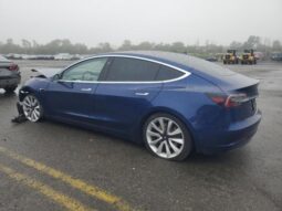 
										2019 Tesla Model 3 full									