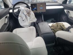 
										2019 Tesla Model 3 full									