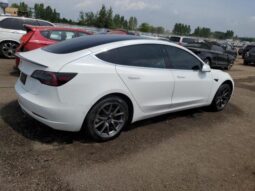 
										2019 Tesla Model 3 full									