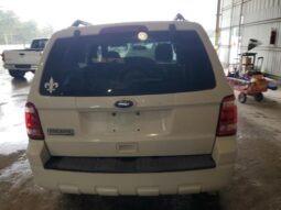 
										2012 Ford Escape xlt full									