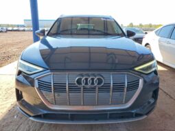 
										2019 Audi E-tron full									