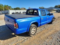 
										2004 Dodge Dakota full									