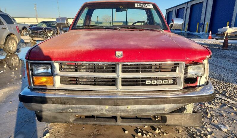 
								1989 Dodge Dakota full									